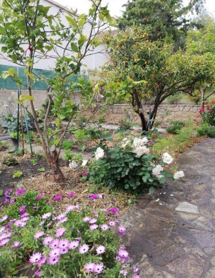 Casa Rossa Solenzara Daire Sari-Solenzara Dış mekan fotoğraf